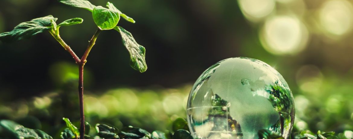 2025 DNDB A conexao com a Terra 3